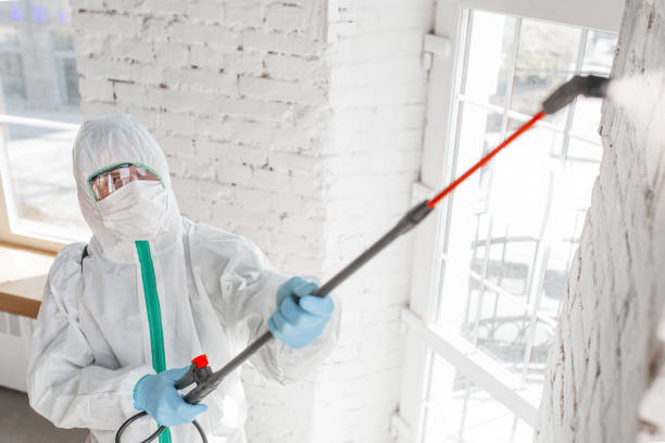 Mold Remediation for Rental Properties in Wooster, AR